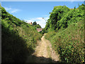 Cutting on the former harbour line