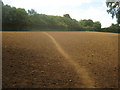 Footpath to Kemberland Wood