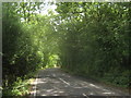 Hawe Lane beside Hoades Wood