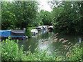 Boats on the Stort Navigation