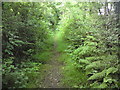 Footpath from Rosemary Lane