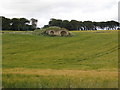 Lime  Kiln  in  Cornfield