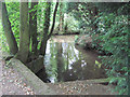 Mill Stream at Claythorpe