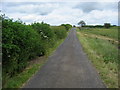 NZ3810 : Access Lane from Newsham Grange by Chris Heaton