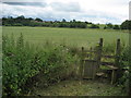 Teesdale Way approaching Low Worsall