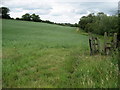 Teesdale Way below Aislaby Grange