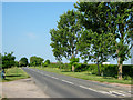 The B3153 approaching Somerton