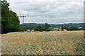 Over the barley to Honeycrock Lane