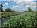 River Little Stour flowing downstream