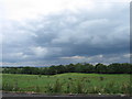 View towards River Gelt from Farm Shop car park