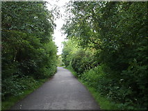 SD8303 : A path in Heaton Park by Bill Boaden