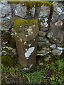 Milestone 8, near Machrie Farm, Isle of Arran