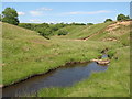 Black Burn near Greenriggs