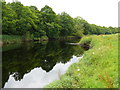 River Bladnoch