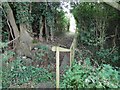 Footbridge off the Footpath