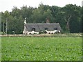 Thatched Cottage