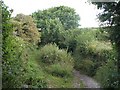 Bridleway near St Columb Minor