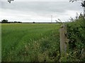 Entrance to cereal field