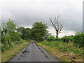 NY5070 : Country Lane near Dorryfield by Alex McGregor
