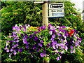 Floral bus stop, Moira