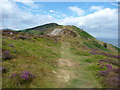 Part of the North Wales Path on Conwy Mountain