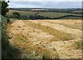 Field near Trebarber