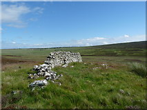 ND1533 : Chambered cairn above the Burn of Houstry by Claire Pegrum