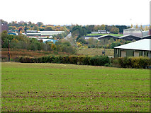 TL8665 : View across Hollow Road Farm to sugar factory area by John Goldsmith