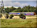 Horse and Train