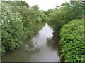 River Derwent, Norton-on-Derwent