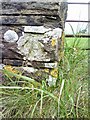 Benchmark on New Lane wall pier