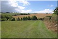 Fields at Trewassick