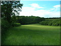 Farmland looking towards Ladyhills Plantation