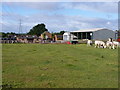 Farm buildings - Nursery Farm