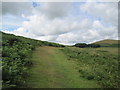 Bridleway near Great Ryle