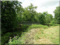 Footbridge over the River Mole