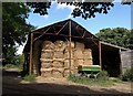 Barn, Bosoughan