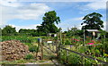 West Tanfield Allotments