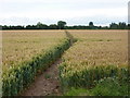 Footpath to Treswell