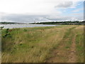 Footpath beside the River Medina