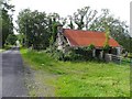 Ruined cottage