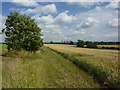 Fields and footpath near Sheds Farm