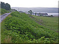 Bracken lined road with pasture and farm below