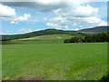 Field west of Milltown of Edinvillie