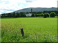 Field near Milltown of Edinvillie