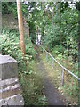 Footpath from Banks Road down to Woodhead Road