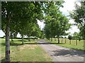 Farm driveway