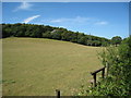 Field near Atchester Wood