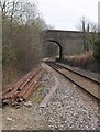 Railway bridge at Luxulyan