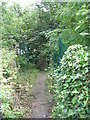 Footpath - Old Turnpike